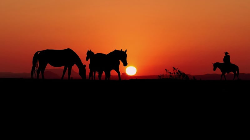 Wild West